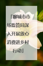 聊城市市场监管局深入开展放心消费进乡村行动