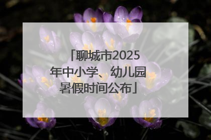 聊城市2025年中小学、幼儿园暑假时间公布