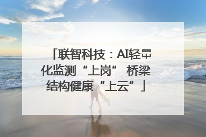 联智科技：AI轻量化监测“上岗” 桥梁结构健康“上云”