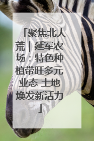 聚焦北大荒｜延军农场：特色种植带旺多元业态 土地焕发新活力