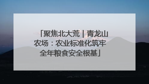 聚焦北大荒｜青龙山农场：农业标准化筑牢全年粮食安全根基