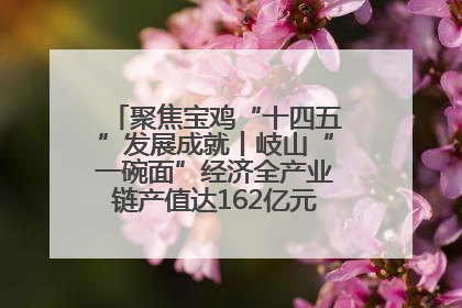 聚焦宝鸡“十四五”发展成就丨岐山“一碗面”经济全产业链产值达162亿元 入选全国典型县