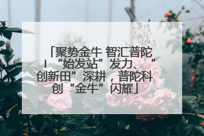 聚势金牛 智汇普陀〡“始发站”发力、“创新田”深耕，普陀科创“金牛”闪耀