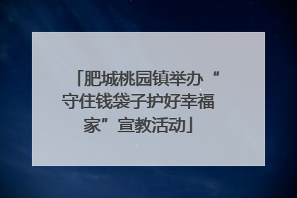 肥城桃园镇举办“守住钱袋子护好幸福家”宣教活动