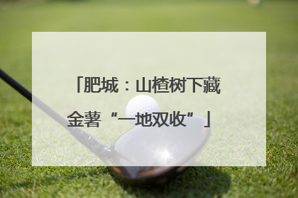 肥城：山楂树下藏金薯“一地双收”