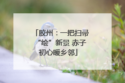 胶州：一把扫帚“绘”新景 赤子初心暖乡邻