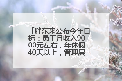 胖东来公布今年目标：员工月收入9000元左右，年休假40天以上，管理层人均分配70万元