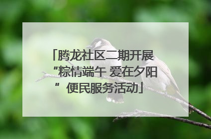 腾龙社区二期开展 “粽情端午 爱在夕阳”便民服务活动