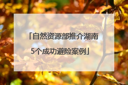 自然资源部推介湖南5个成功避险案例