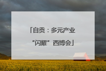 自贡：多元产业“闪耀”西博会
