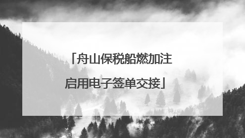 舟山保税船燃加注启用电子签单交接