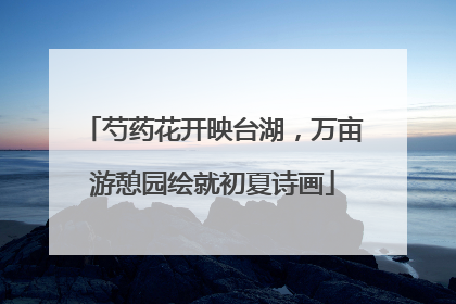 芍药花开映台湖，万亩游憩园绘就初夏诗画
