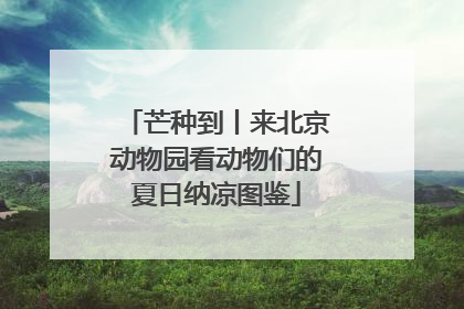 芒种到丨来北京动物园看动物们的夏日纳凉图鉴