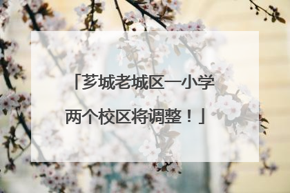芗城老城区一小学两个校区将调整！
