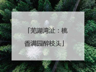 芜湖湾沚：桃香满园醉枝头