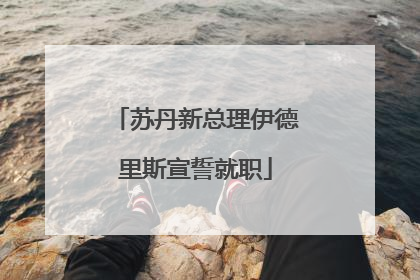 苏丹新总理伊德里斯宣誓就职