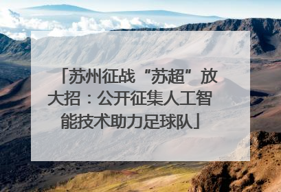 苏州征战“苏超”放大招：公开征集人工智能技术助力足球队
