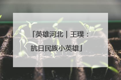 英雄河北｜王璞：抗日民族小英雄