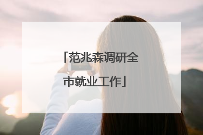 范兆森调研全市就业工作