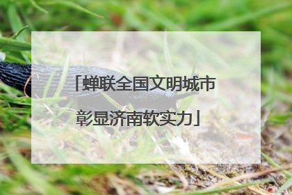 蝉联全国文明城市 彰显济南软实力