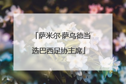萨米尔·萨乌德当选巴西足协主席
