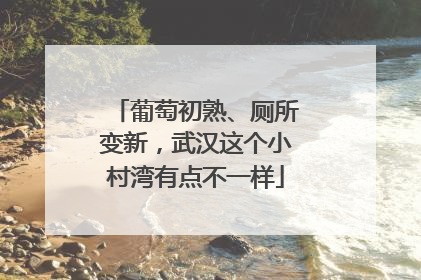 葡萄初熟、厕所变新，武汉这个小村湾有点不一样