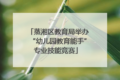 蒸湘区教育局举办“幼儿园教育能手”专业技能竞赛