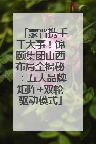 蒙晋携手干大事！锦颐集团山西布局全揭秘：五大品牌矩阵+双轮驱动模式