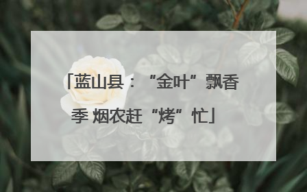 蓝山县：“金叶”飘香季 烟农赶“烤”忙