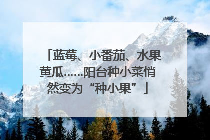 蓝莓、小番茄、水果黄瓜……阳台种小菜悄然变为“种小果”