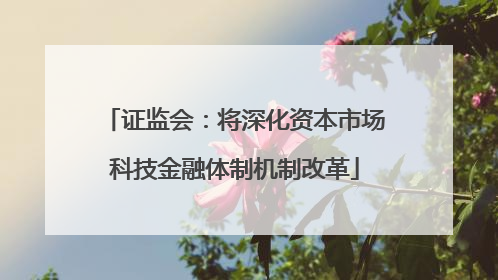 证监会：将深化资本市场科技金融体制机制改革