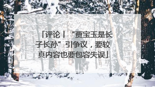 评论丨“贾宝玉是长子长孙”引争议，要较真内容也要包容失误