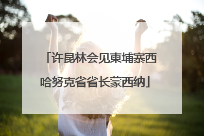 许昆林会见柬埔寨西哈努克省省长蒙西纳
