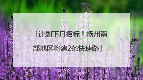 计划下月招标！扬州南部地区将建2条快速路