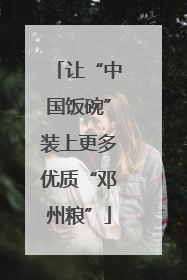 让“中国饭碗”装上更多优质“邓州粮”