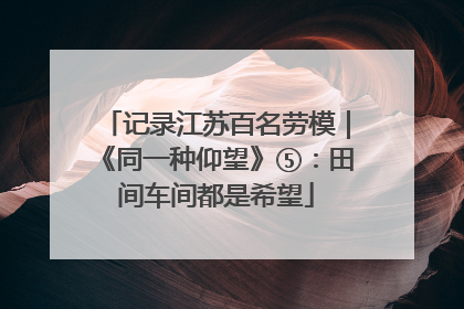 记录江苏百名劳模｜《同一种仰望》⑤：田间车间都是希望