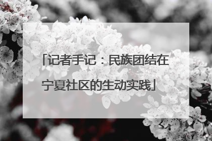 记者手记：民族团结在宁夏社区的生动实践