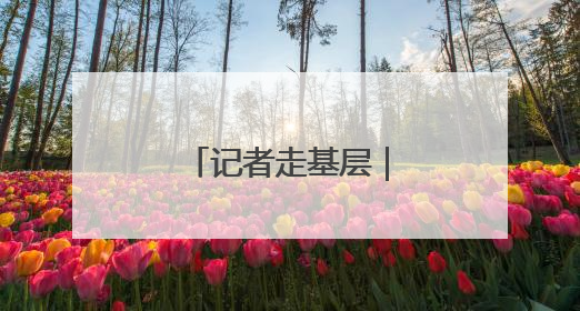 记者走基层｜玫瑰“链”三产 村民日子甜
