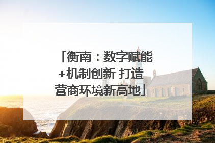 衡南：数字赋能+机制创新 打造营商环境新高地