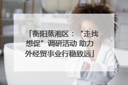 衡阳蒸湘区：“走找想促”调研活动 助力外经贸事业行稳致远
