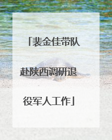 裴金佳带队赴陕西调研退役军人工作