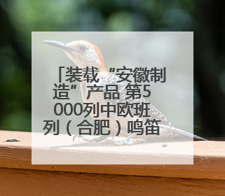 装载“安徽制造”产品 第5000列中欧班列（合肥）鸣笛起航
