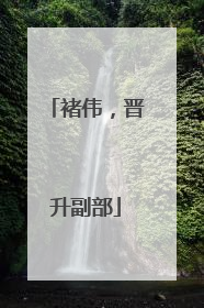 褚伟，晋升副部