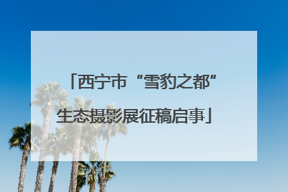 西宁市“雪豹之都”生态摄影展征稿启事