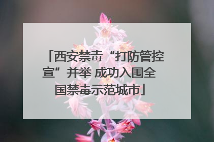 西安禁毒“打防管控宣”并举 成功入围全国禁毒示范城市