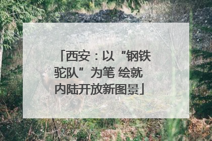 西安：以“钢铁驼队”为笔 绘就内陆开放新图景
