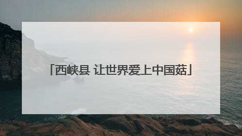 西峡县 让世界爱上中国菇