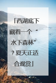 西湖底下藏着一个“水下森林”？夏天正适合观赏