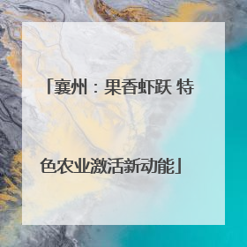 襄州：果香虾跃 特色农业激活新动能