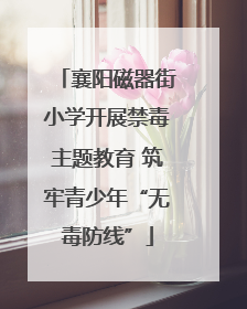 襄阳磁器街小学开展禁毒主题教育 筑牢青少年“无毒防线”